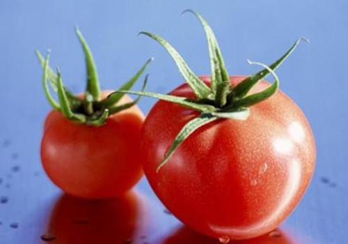 西红柿可以减肥吗 西红柿减肥法