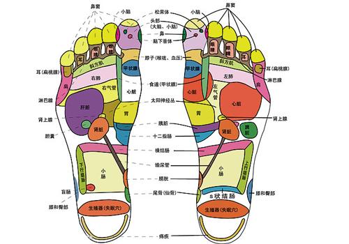 上病取下百病治足 一病一绝招