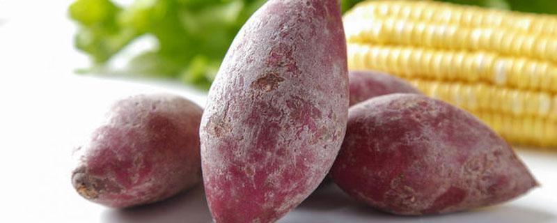 紫薯和黄瓜能一起吃吗 黄瓜不能和什么一起吃