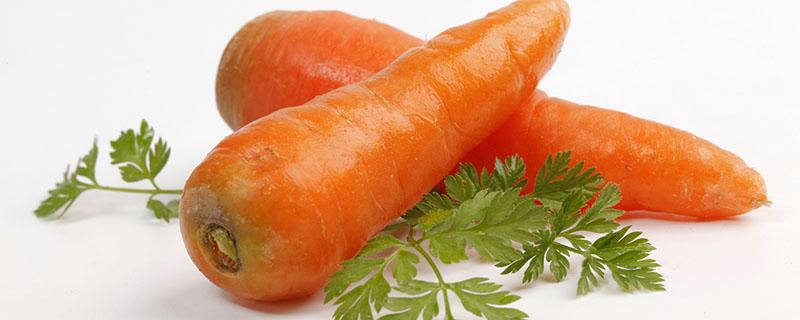胡萝卜吃了可以减肥吗 胡萝卜怎么吃可以减肥