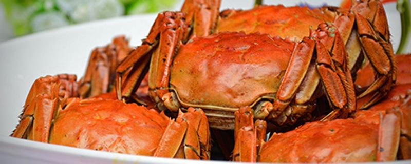 螃蟹能和生菜一起吃吗 螃蟹和生菜一起吃多了怎么办