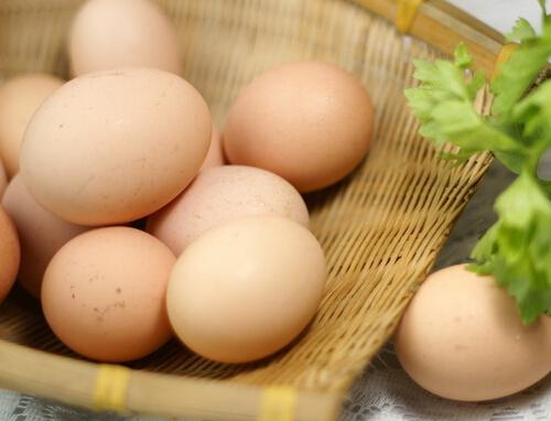早晨吃鸡蛋的好处有哪些 早晨吃鸡蛋的好处有哪些英语