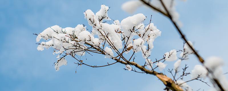 小雪节气的含义是什么 小雪节气的含义是什么意思,小雪节气的图片