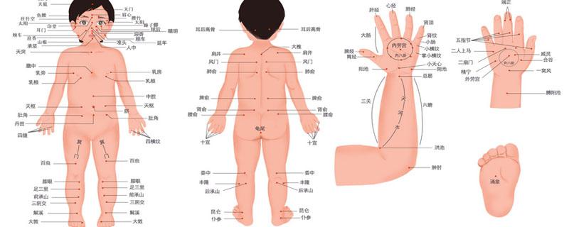 肺经可以每天刮痧吗（刮痧刮肺经怎么刮）