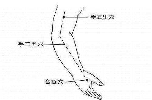 手五里的准确位置图和作用 手三里和手五里位置图