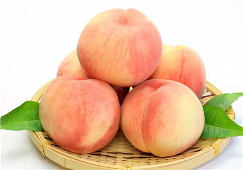 催熟的桃子是什么样的 桃子的挑选方法