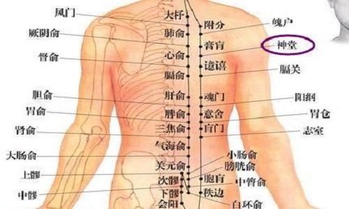 神堂的准确位置图（大椎大柱膏肓神堂的准确位置图）