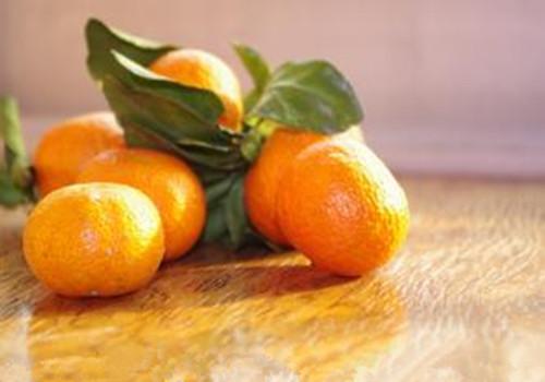 橘子能减肥吗（减肥能不能吃橘子）