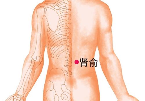 遗精拔罐那个位置（泻血拔罐哪个部位不能拔）