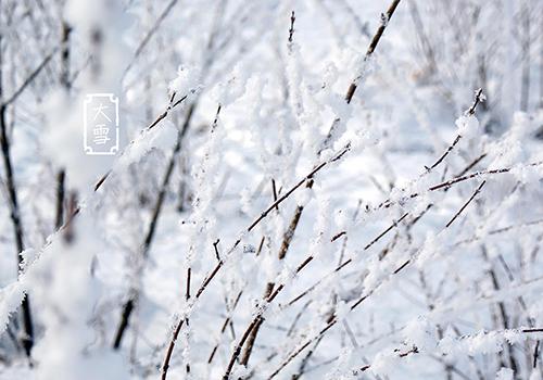 大雪节气的注意事项 大雪节气的注意事项是什么