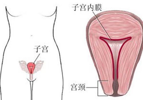 剖腹产后子宫多久恢复正常大小 剖腹产后多久子宫会恢复到正常大小?