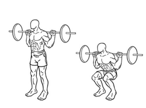 做杠铃深蹲为什么腰疼的厉害 做杠铃深蹲为什么腰疼的厉害了