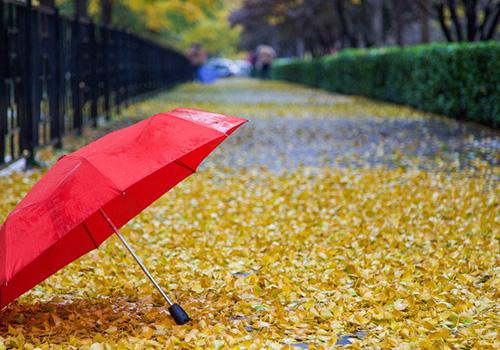 处暑下雨好吗 处暑下雨有什么讲究