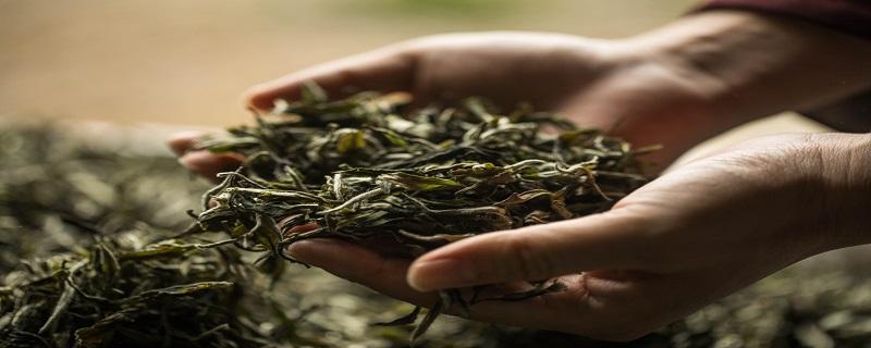 茶叶的保质期一般是多久 没开封茶叶的保质期一般是多久