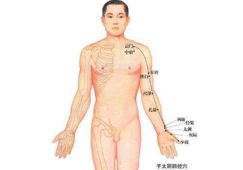 肺经当令时间（肺经当令时间咳嗽）