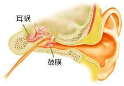 神经性耳聋的危害主要有哪些呢