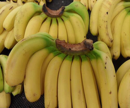 香蕉减肥法的副作用 香蕉对于减肥的作用