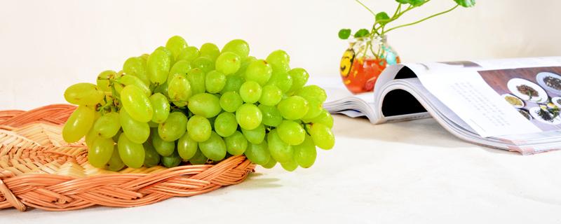 提子和葡萄的区别 葡萄和提子哪个营养高