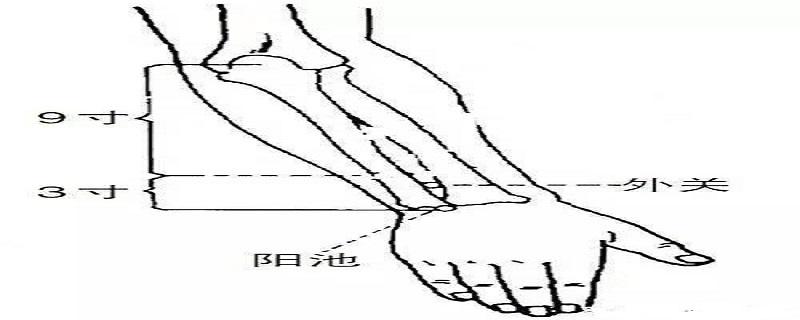 外关针灸位置图和作用 针灸内关外关