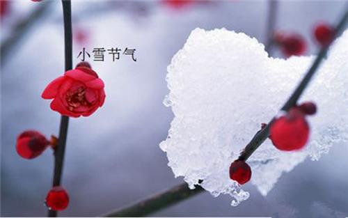 小雪养生 小雪养生知识