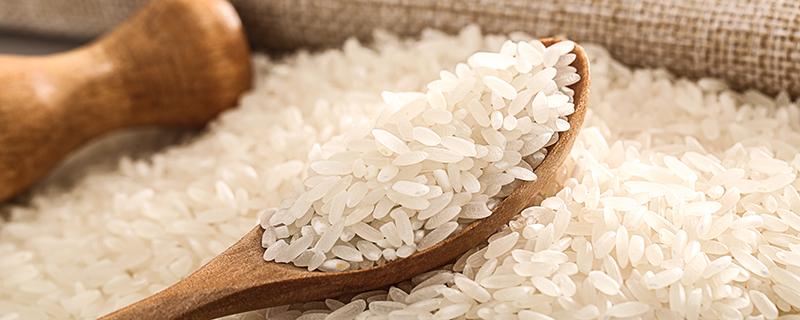 江米能不能蒸米饭 江米可不可以蒸米饭