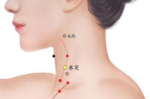 水突的准确位置图作用 水突的准确位置图图解