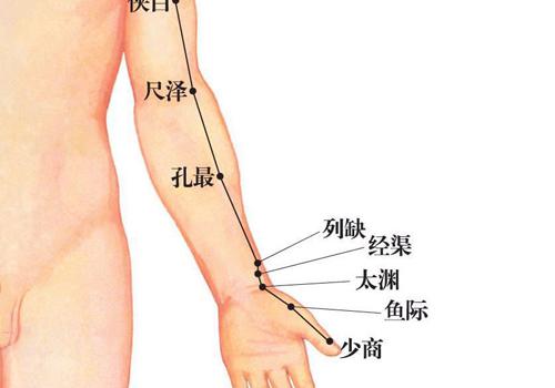 肺经在哪里 手部的肺经在哪里