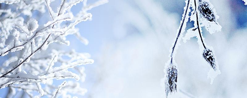 大雪节气是冬至吗（大雪是冬至吗?）