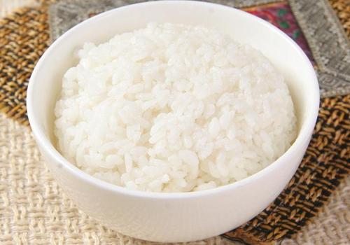 不吃米饭可以减肥吗（吃菜不吃米饭可以减肥吗）