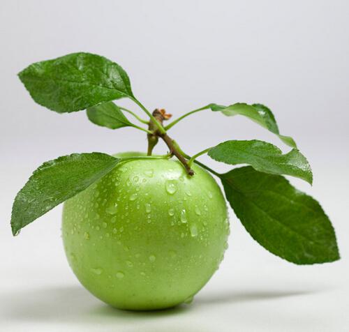 酸奶苹果减肥的危害 苹果酸奶有助于减肥吗