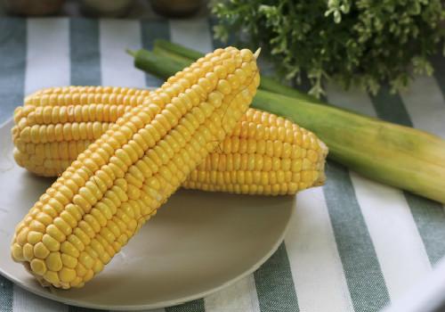 减肥可以吃甜玉米吗 吃玉米有助于减肥吗