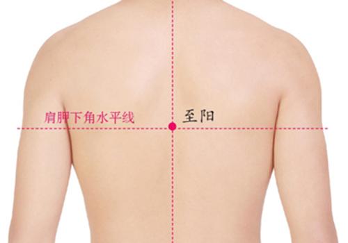 心绞痛拔罐位置图 心脏位置拔罐