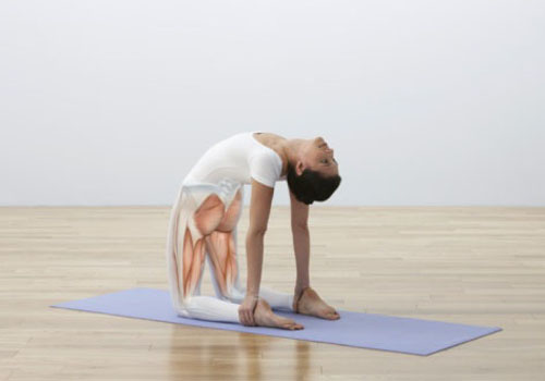 丰胸瑜伽的基本动作 丰胸瑜伽的基本动作视频教程
