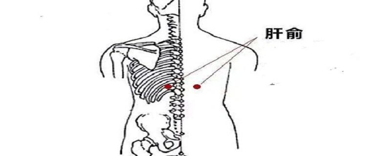 艾灸肝俞的功效 灸肝俞的功效与作用