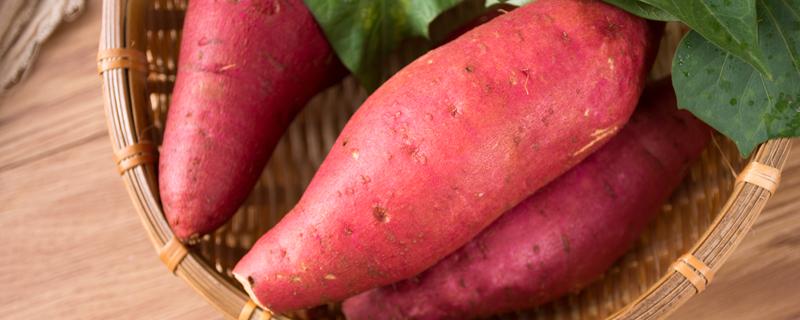 红薯藤怎么做好吃 红薯藤的功效与作用