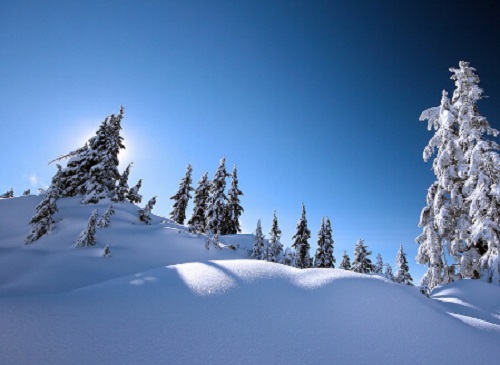 梦见下雪是什么意思（梦见下雪是什么意思有什么预兆）