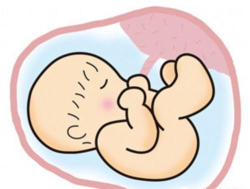 铅对孕妇和胎儿有什么影响（孕妇铅多少会对胎儿有影响）