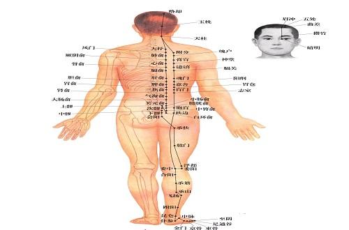 足太阳膀胱经的作用 足太阳膀胱经的作用及循行路线图