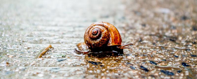 立秋下雨有什么说法（立秋下雨有什么说法 立秋后的天气）