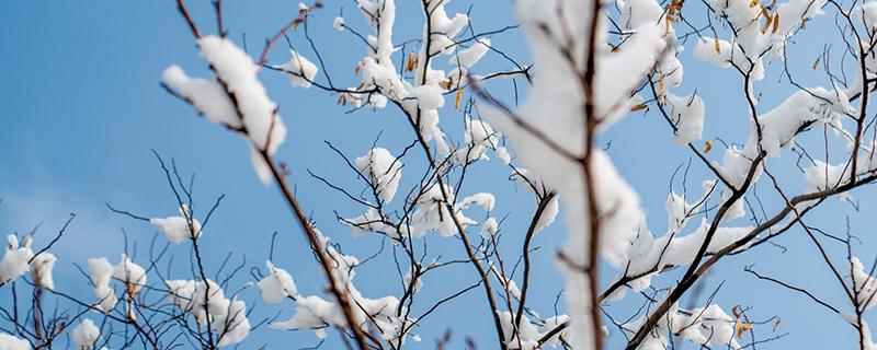 小雪节气养生 小雪节气养生小知识