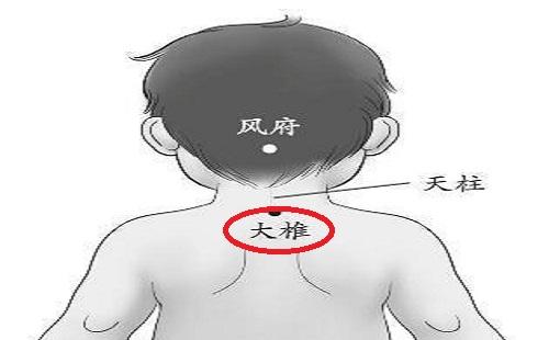 小儿大椎位置图片（大椎的位置图）