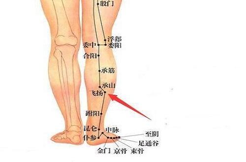 飞扬的准确位置图片（飞扬的准确位置图片视频）