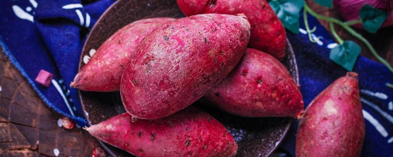 紫薯是转基因吗 紫薯一次可以吃多少