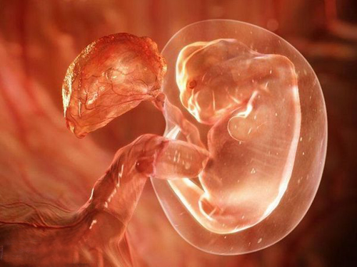 如何快速怀孕 二胎如何快速怀孕