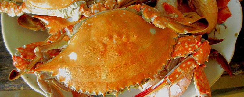 螃蟹吃不完怎么保存 煮熟的螃蟹吃不完怎么保存