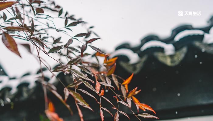 一场秋雨一场寒的下一句 一场秋雨一场寒的下一句是什么