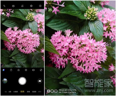 vivoy7s拍照怎么样