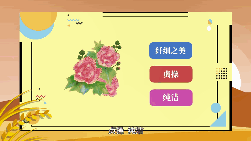 芙蓉花花语 芙蓉花花语是什么