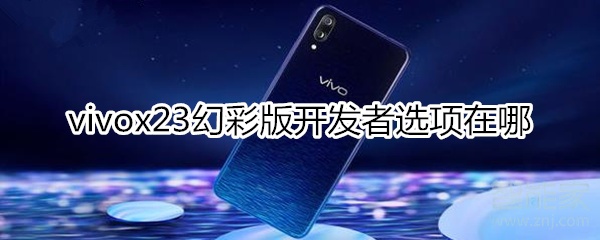 vivox23幻彩版开发者选项在哪