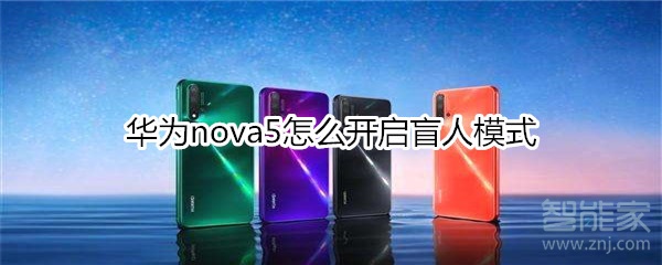 华为nova5怎么开启盲人模式